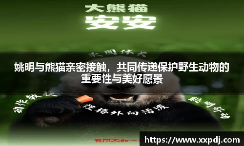 55世纪官方平台